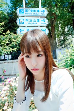 金梅瓶在线观看
